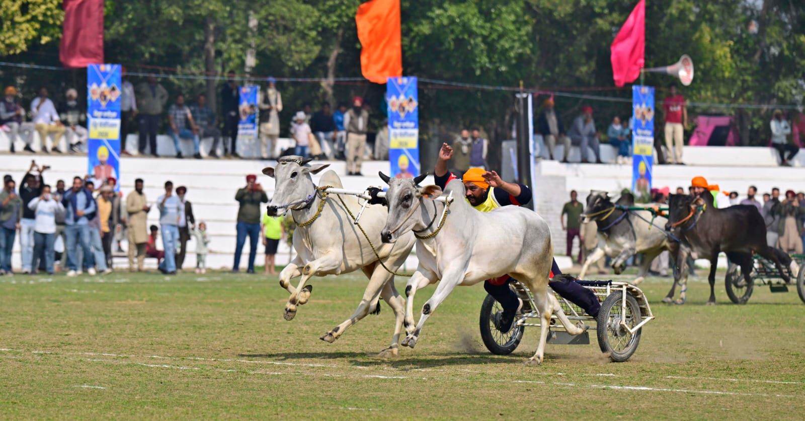 Kila Raipur Rural Olympics, ludhiana news 